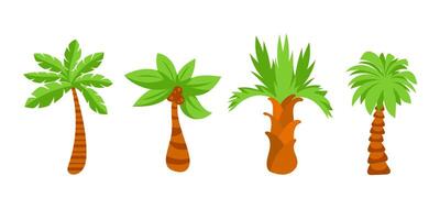 Tropical palm tree. Tropical coconut trees on white background. vector