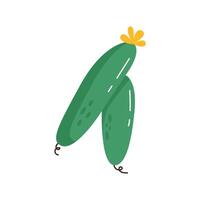 Hand drawn green cucumbers. Garden harvest sticker. Fresh vegetable icon or print. Flat isolated on white background. vector