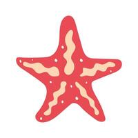 estrella de mar. marina icono. plano ilustración. vector