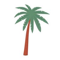 Palm tree. Tropical plant. illustration isolated on white background. vector