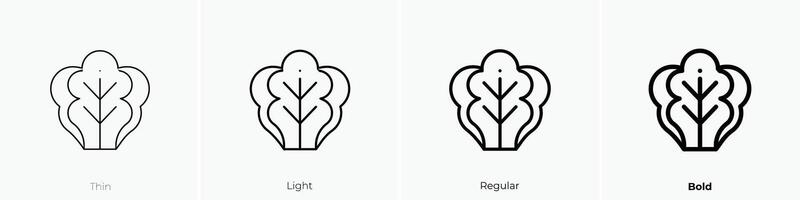 lettuce icon. Thin, Light, Regular And Bold style design isolated on white background vector