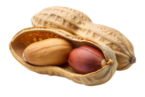 Shelled and unshelled peanuts displayed against a transparent background, highlighting their texture and structure png
