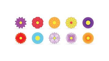 cute icon set beautiful flower with yellow,purple red orange blue color isolated on white background vector