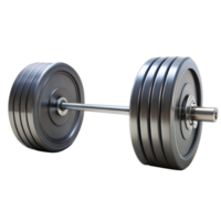 A black weight bar with a black rubber plate on each side. The bar is long and thick png