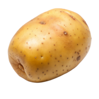 A large, unpeeled potato with many small holes on its skin png