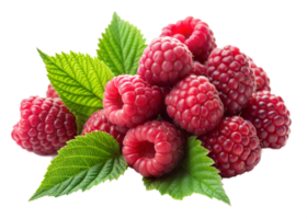 A bunch of red raspberries with green leaves png