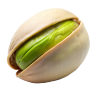 A green and white nut with a green stem png