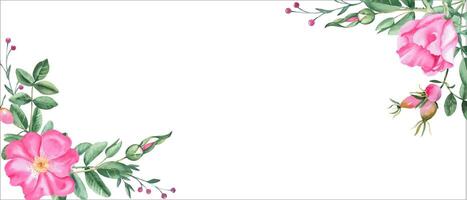 Dog rose banner with pink flowers, berries and branches. Watercolor horizontal frame, border. Hand drawn illustration. Perfect as a web banner, card and invitation template, for romantic design. vector