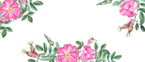 Dog rose banner with pink flowers, berries and branches. Watercolor horizontal frame, border. Hand drawn illustration. Perfect as a web banner, card and invitation template, for romantic design. vector