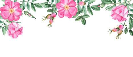 Dog rose banner with pink flowers, berries and branches. Watercolor horizontal frame, border. Hand drawn illustration. Perfect as a web banner, card and invitation template, for romantic design. vector