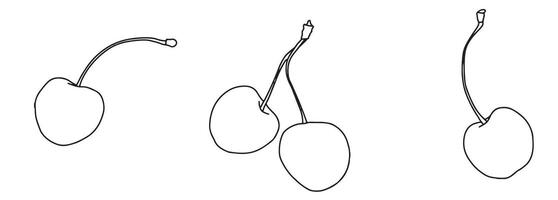 Cereza dibujo colocar. aislado mano dibujado baya en blanco antecedentes. verano fruta. haz con contorno dibujo. bosquejo en línea Arte estilo pintado por negro tintas vector