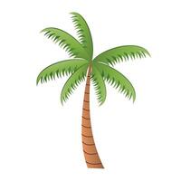 hand drawn palm trees on white background vector