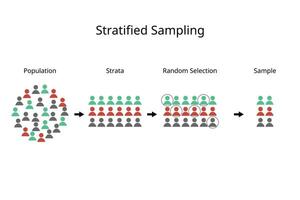 Stratified Sampling method to divide a population into homogeneous subpopulations called strata based on specific characteristics vector