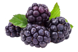 Close-up of fresh blackberries with green leaves. Perfect for food, fruit, berry, diet, and healthy eating images on stock photo platforms. png