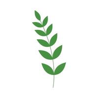 Organic leaves for template creation element vector