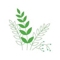 Vintage botanical leaf collection on white background vector