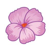 Hand drawn flower on white background vector