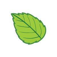 botánica verde hoja icono dibujos animados de botánica verde hoja en blanco vector