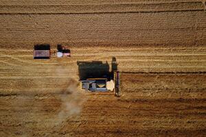 Combine harvester working in agricultural field. Harvest season photo