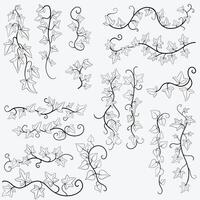 Floral ivy drawing decorative ornament flat design collection. vector