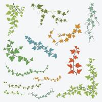 hiedra floral dibujo ornamento decorativo colección de diseño plano. vector