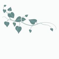 Floral ivy drawing decorative ornament flat design. vector