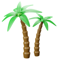 3d rendering of palm tree png