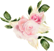 Rosa flora acuarela ilustración png