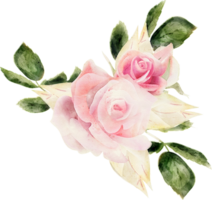 Rose Flora Watercolor illustration png