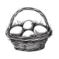 Eggs in a wicker basket, black and white illustration Stock Image and Design isolated on white vector