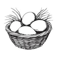 Eggs in a wicker basket, black and white illustration Stock Image and Design isolated on white vector