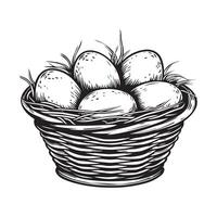 Eggs in a wicker basket, black and white illustration Stock Image and Design isolated on white vector