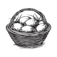 Eggs in a wicker basket, black and white illustration Stock Image and Design isolated on white vector