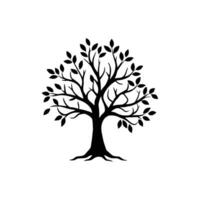 Beautiful tree design vector