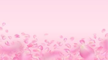 Pink rose petals template. Flying realistic voluminous blurred sakura petals with blur effect. Spring flower illustration for background, wallpaper, banner, romantic greeting card. vector