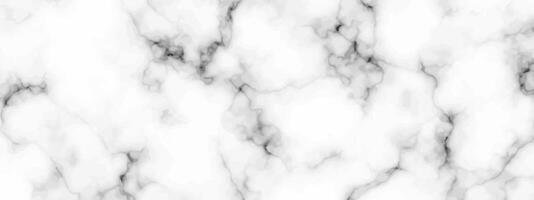 White marble texture background vector