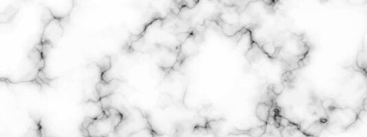 White marble texture background vector