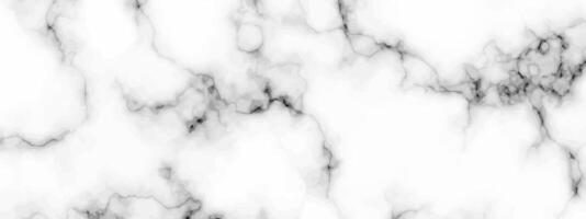 White marble texture background vector