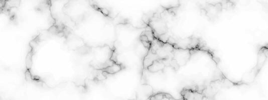 White marble texture background vector