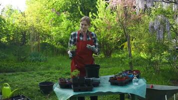 Happy woman gardener smiling front of camera holding a green seedling growing in soil while working with tomato plant seeding at garden shop video