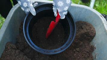 caucasien femme agriculteur en utilisant bêche houe prise une sol à ajouter à une pot ou grandir légume et fleur à jardin. video
