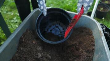 Caucasian woman farmer using spade hoe taking a soil to add to a pot or grow vegetable and flower at garden. video