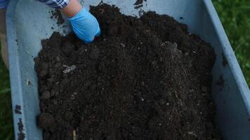 Caucasian woman farmer using spade hoe taking a soil to add to a pot or grow vegetable and flower at garden. video