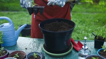 Caucasian woman farmer using spade hoe taking a soil to add to a pot or grow vegetable and flower at garden. video