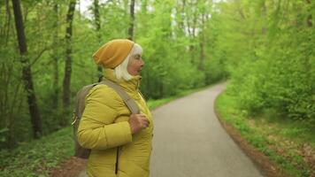 anziano 50s turista donna con un' zaino in piedi su superiore di il montagna e godere il bellissimo Visualizza di montagne morskie oko lago. escursioni a piedi viaggio e avventura nel Polonia, tatry video