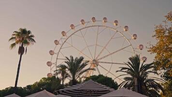 Ferris wheel spinning in park video