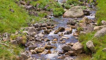 Stream flowing through lush green hillside video