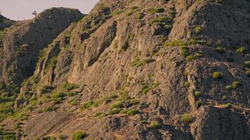 Towering mountain with lone tree video