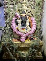 Statue of Hindu Deity Ganesha Decorated with Flowers photo