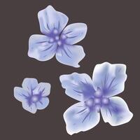 Hydrangea Flower Illustration vector